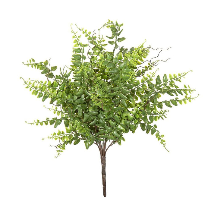 Fern Bush 45cm Pack of 12