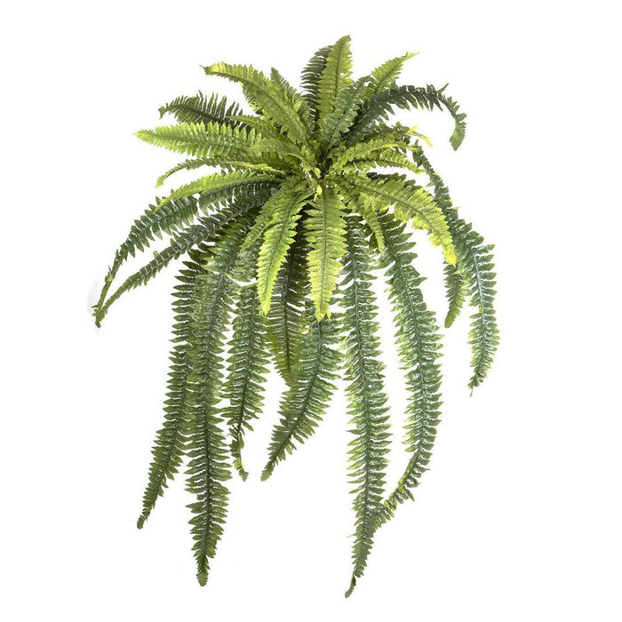 Fern Boston Hanging 100cm Pack of 6