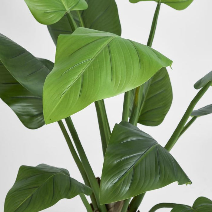 Philo Tree Real Touch 140cm