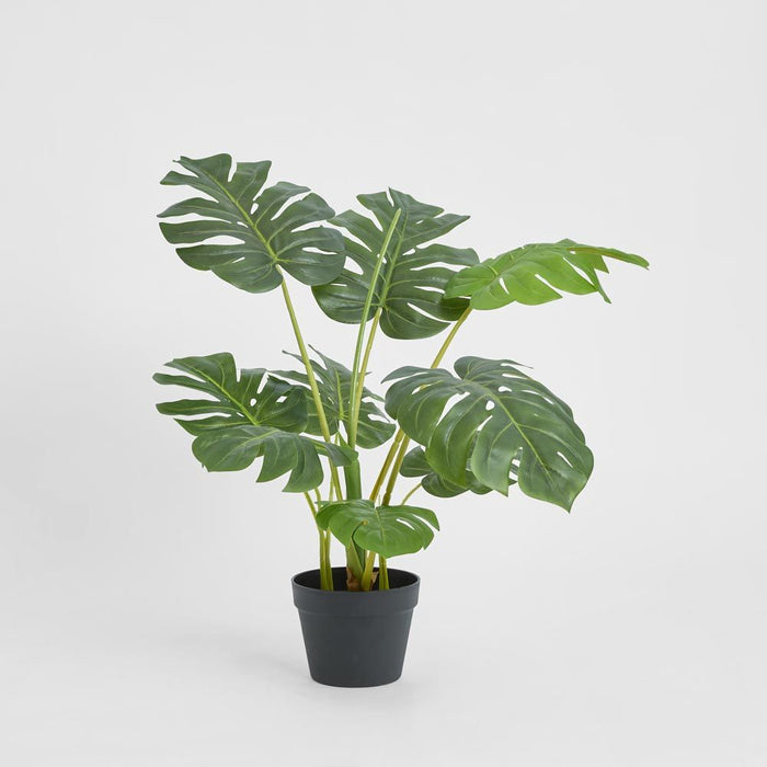 Monstera Tree Real Touch 85cm Set of 2