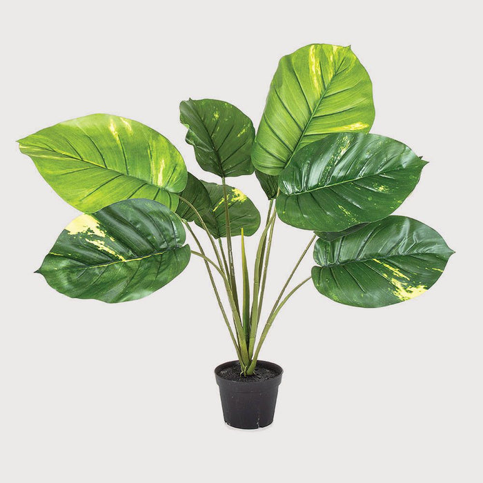 Pothos Plant Real Touch Leaves 70cm Pack of 2