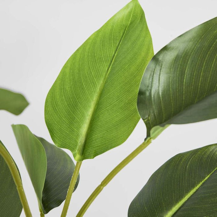 Bird of Paradise Plant Real Touch 64cm Set of 3