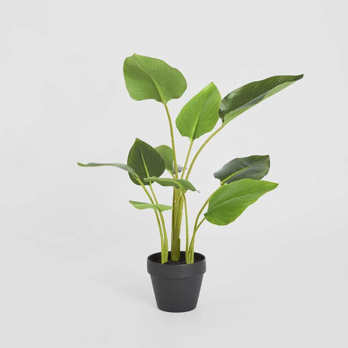 Bird of Paradise Plant Real Touch 64cm Set of 3