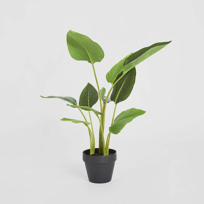 Bird of Paradise Plant Real Touch 64cm Set of 3