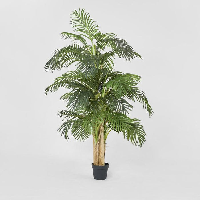 Areca Palm Tree Real Touch 190cm