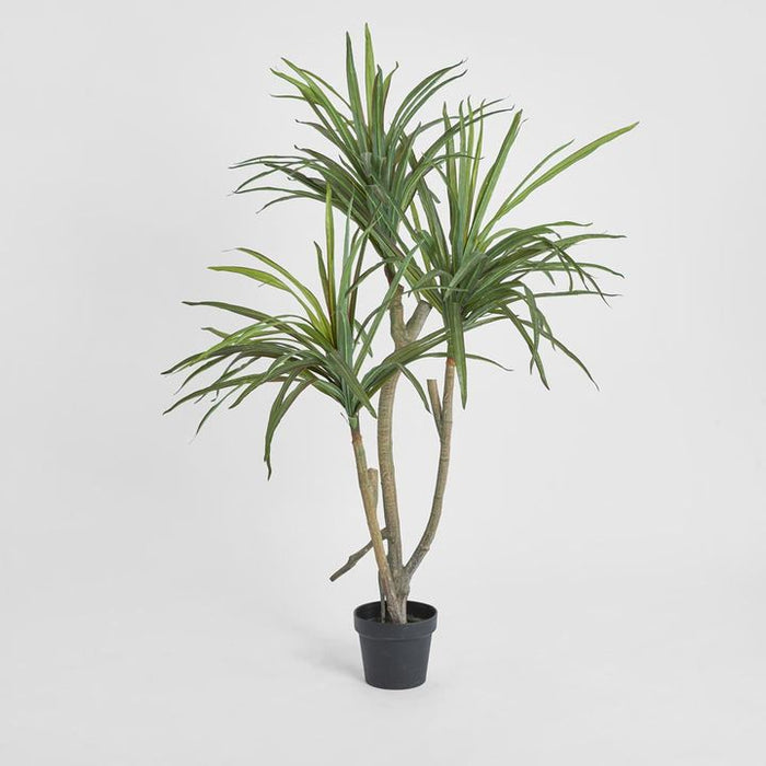 Yucca Tree Real Touch 125cm
