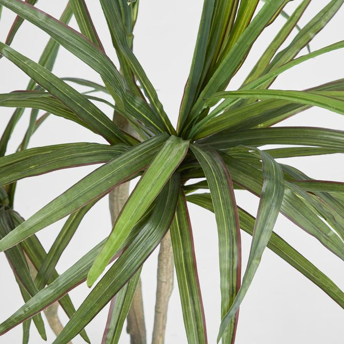 Yucca Tree Real Touch 125cm