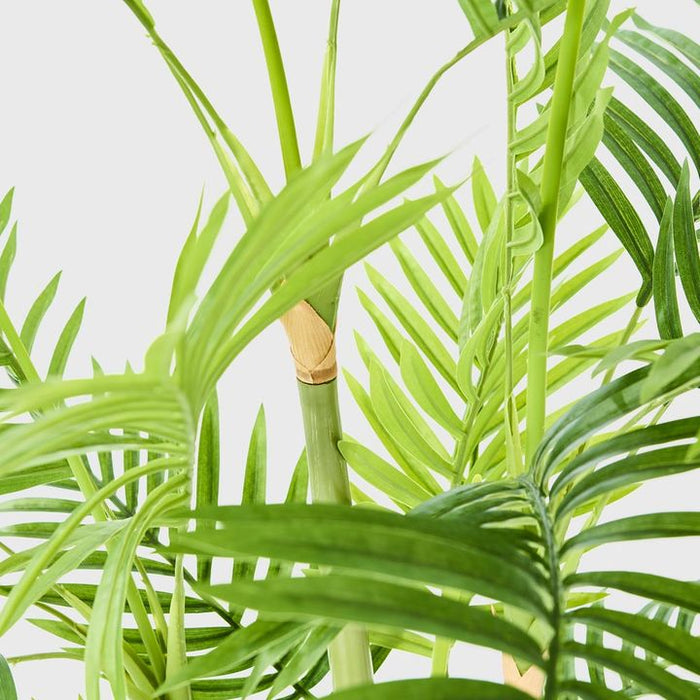 Palm Tree Real Touch 125cm