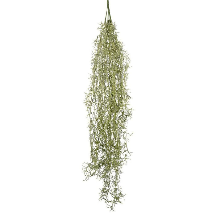 Moss Spanish Hanging 120cm Pack of 12