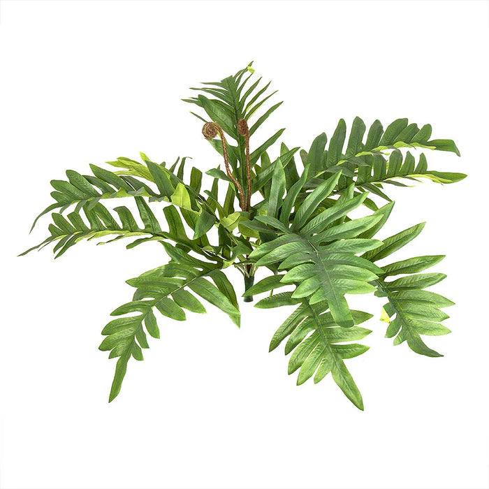 Fern River 50cm Pack of 12