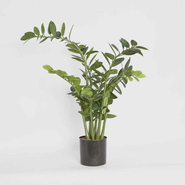 Smargago Plant 110cm