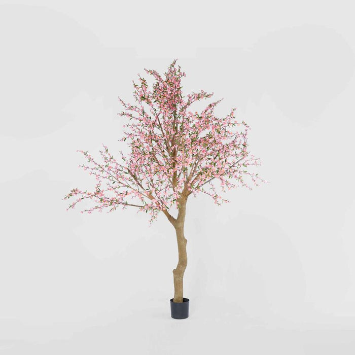 Giant Cherry Blossom Tree 240cm