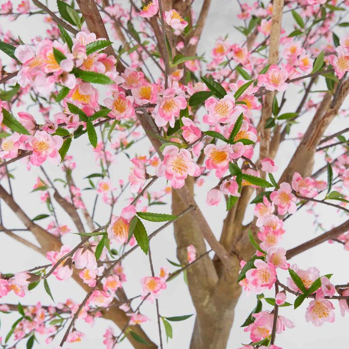 Giant Cherry Blossom Tree 240cm