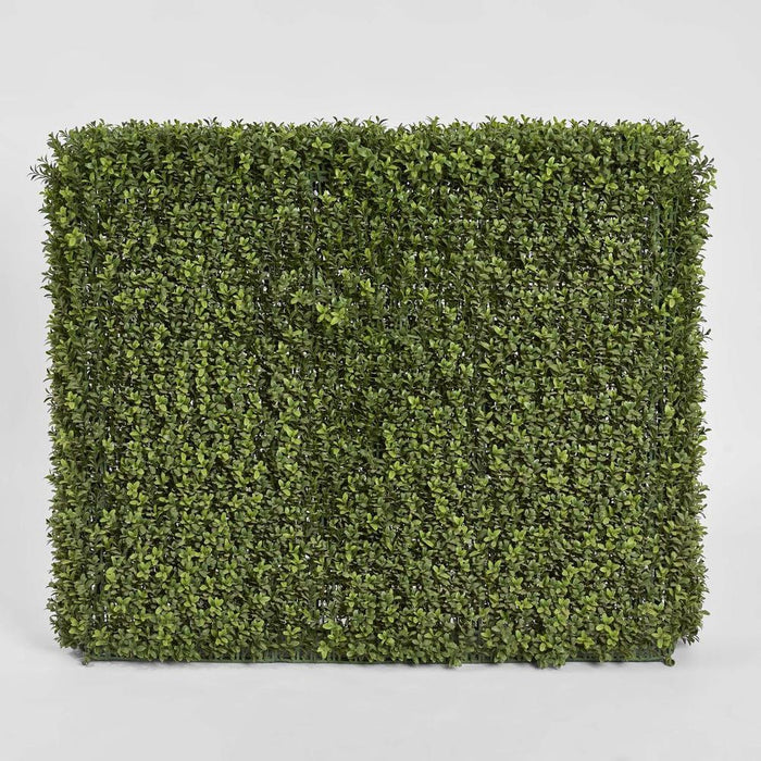 Boxwood Hedge 75x100cm