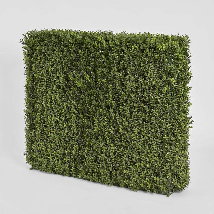 Boxwood Hedge 75x100cm