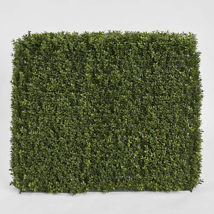 Boxwood Hedge 93x100cm