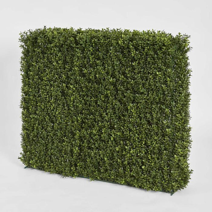 Boxwood Hedge 93x100cm