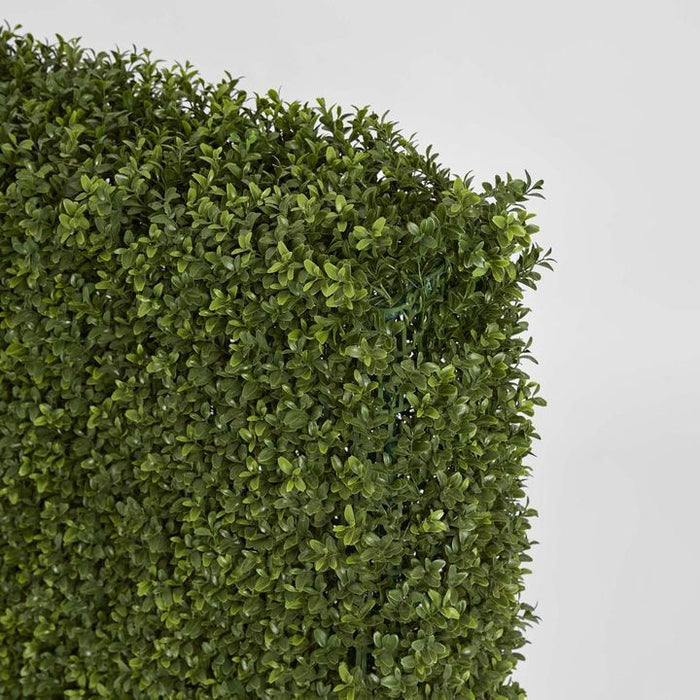 Boxwood Hedge 93x100cm
