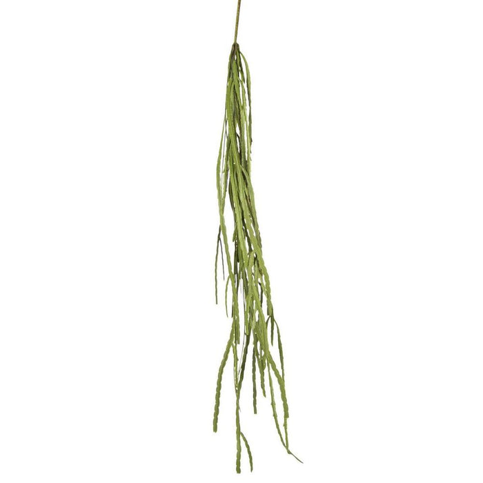 Pencil Hanging Bush 115cm Pack of 12