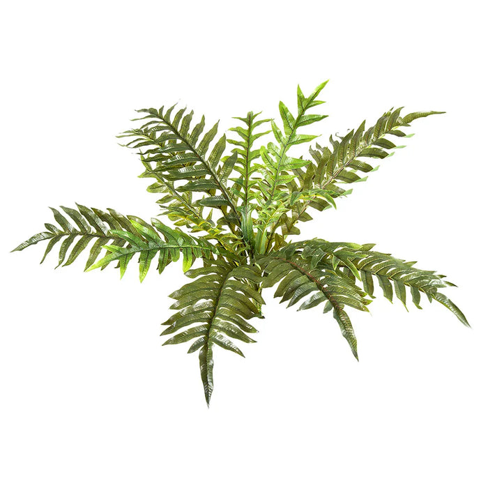 Fern Foot Real Touch 55cm Pack of 6