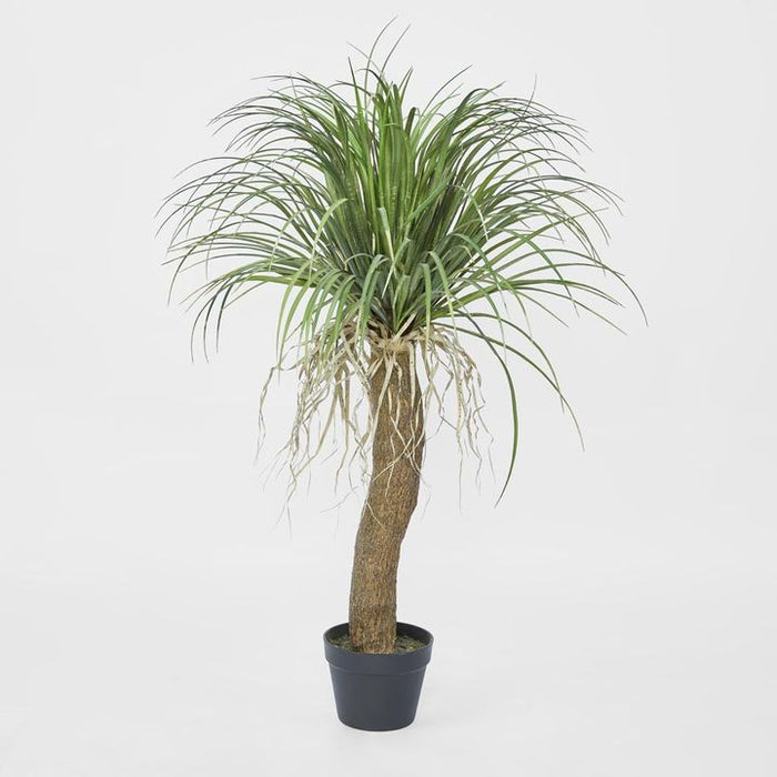 Grass Tree Small 110cm