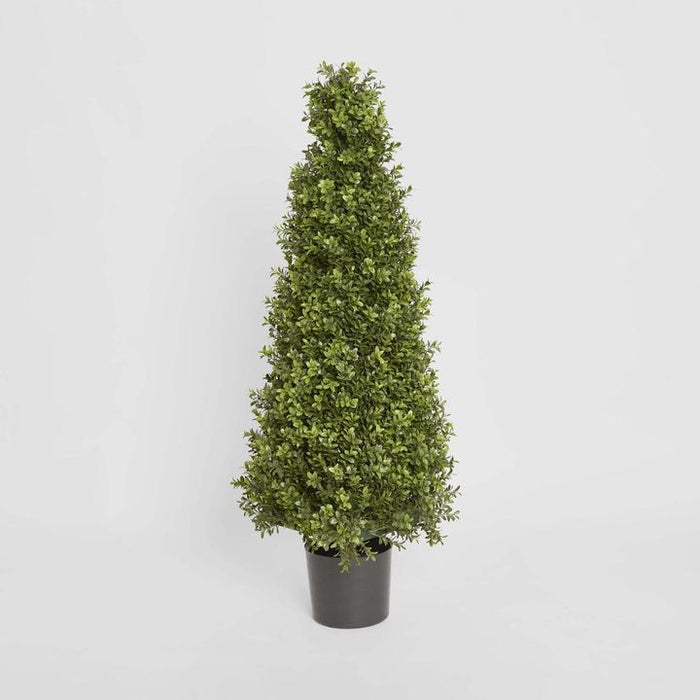 Boxwood Pyramid Topiary Tree 100cm