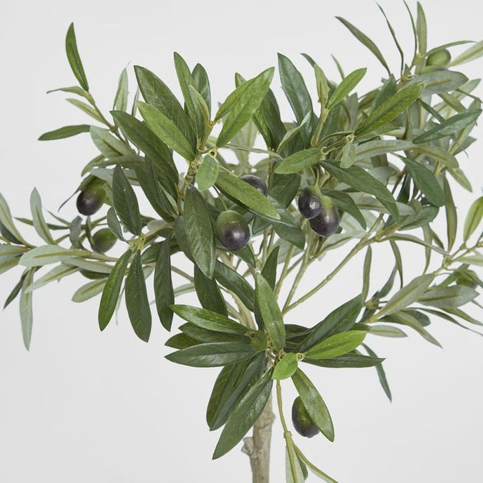 Olive Tree Topiary 65cm Set of 2