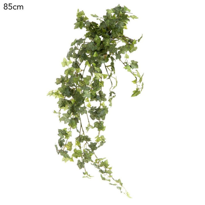 Ivy Bush Vine 85cm Pack of 6
