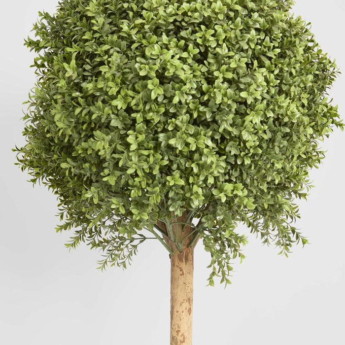 Boxwood Ball Topiary Tree 150cm