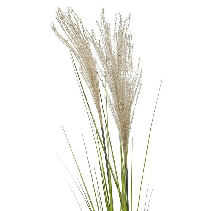 Pampas Grass Spray 110cm Pack of 12