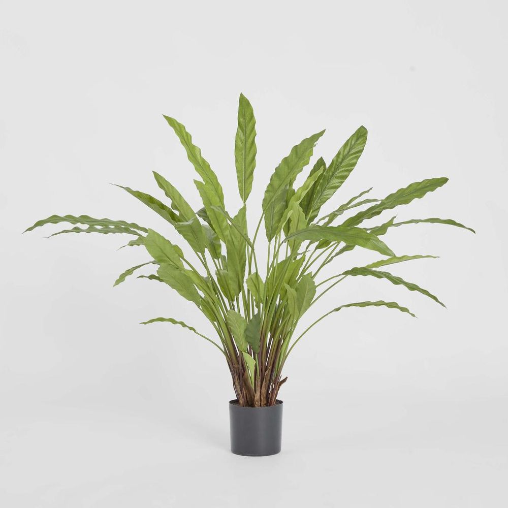 Artificial Calathea