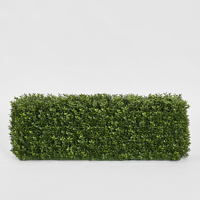 Boxwood Hedge 25x95cm