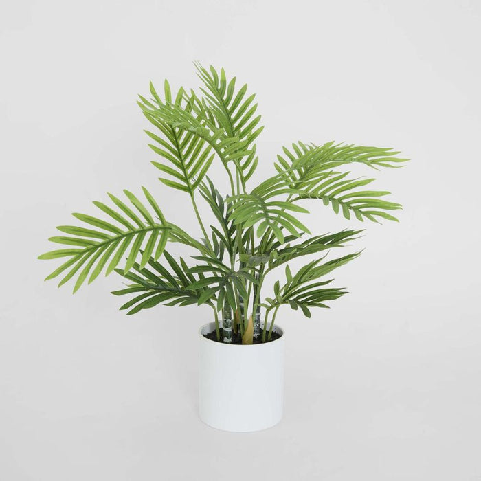 Real Touch Mini Palm 40cm Pack of 4