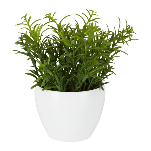 Sedum In Melamine Pot 20cm Green - Pack of 12