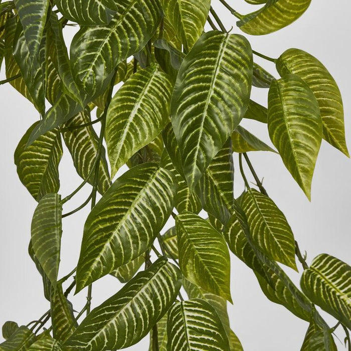 Zebra Hanging Bush 95cm Pack of 6