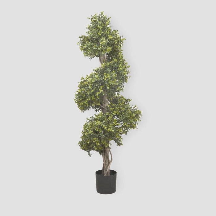 Boxwood Spiral Topiary Tree 140cm