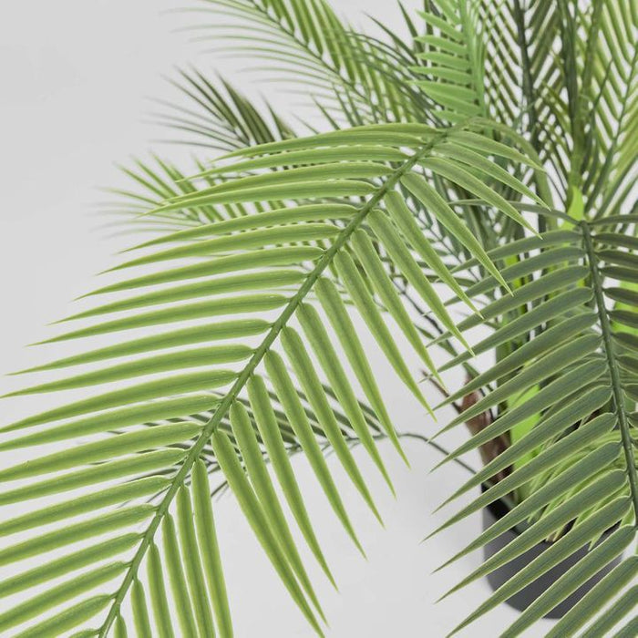 Palm Green Tree In Black Pot 130cm