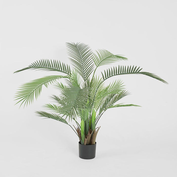 Palm Green Tree In Black Pot 130cm