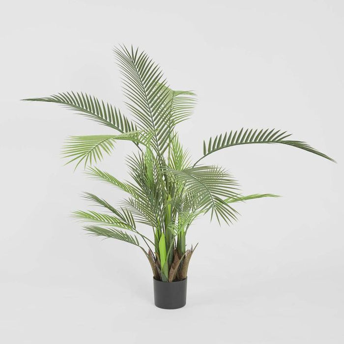 Palm Green Tree In Black Pot 130cm