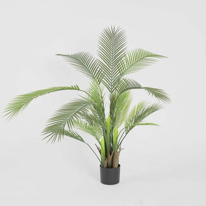 Palm Green Tree In Black Pot 130cm