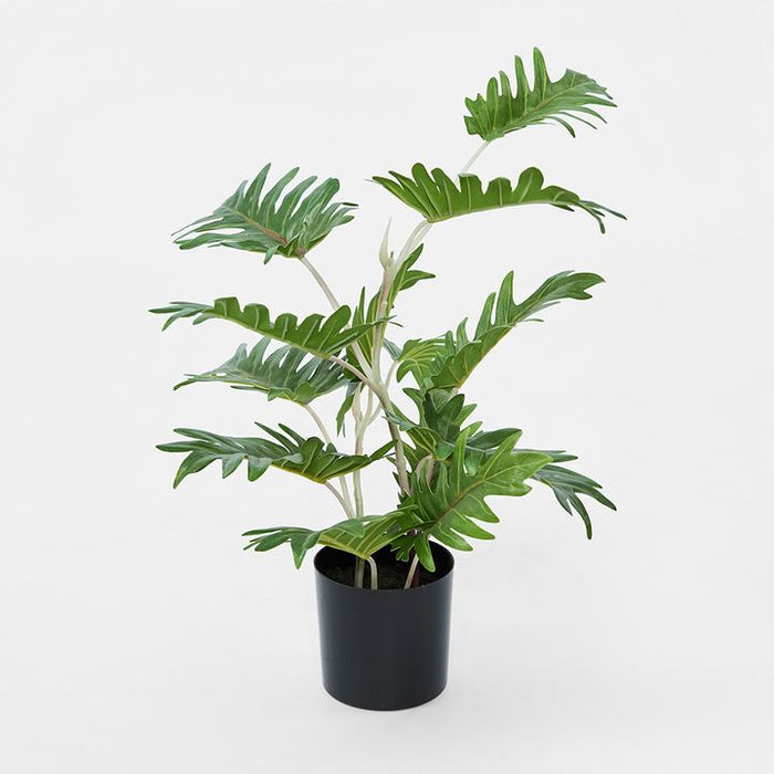 Real Touch Philo Green Plant In Black Pot 50cm Pack of 4