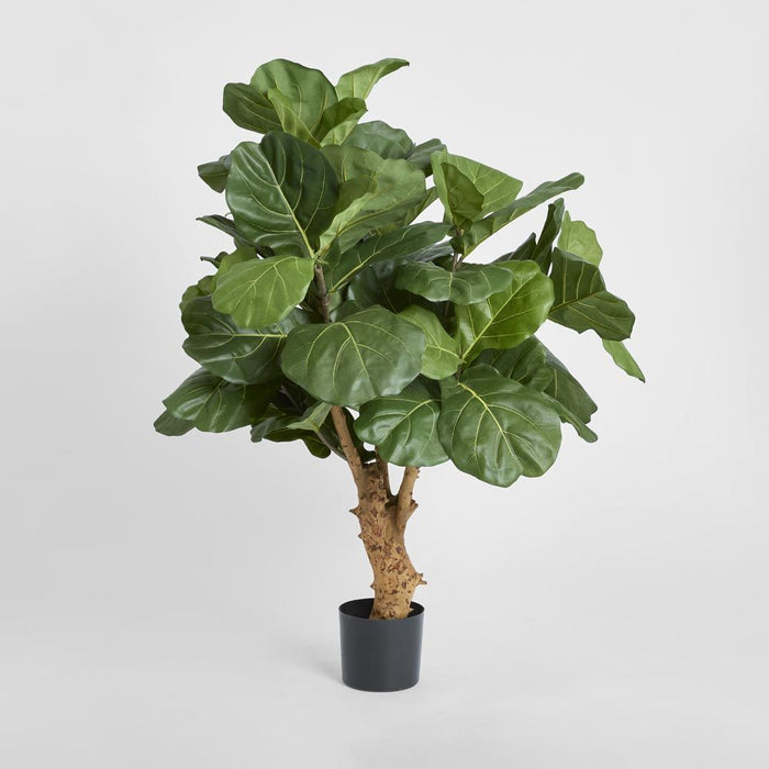 Fiddle Leaf Tree with 70 Leaves 75cm