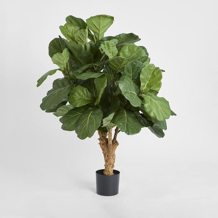 Fiddle Leaf Tree with 70 Leaves 75cm