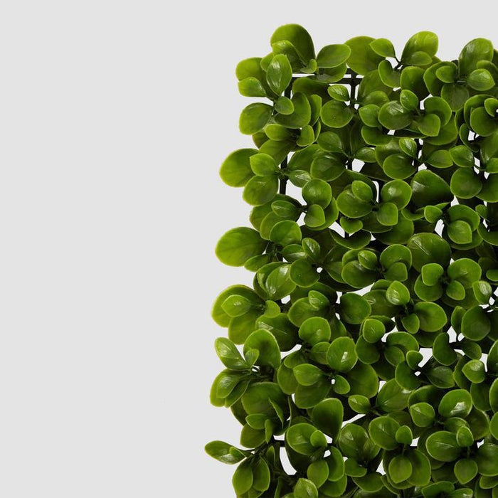 Greenery Garden UV Resistant Outdoor Screen Mat 100cm x 100cm Set of 2