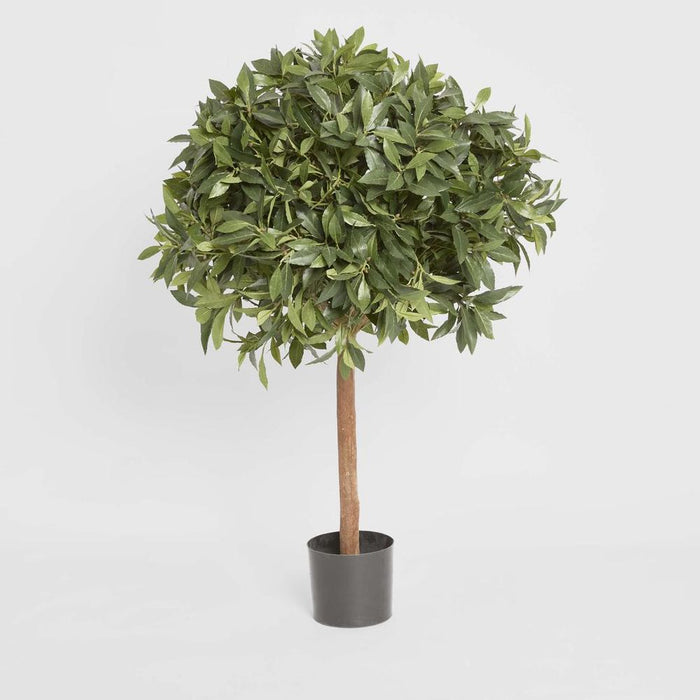 Laurel Ball Topiary Tree 110cm