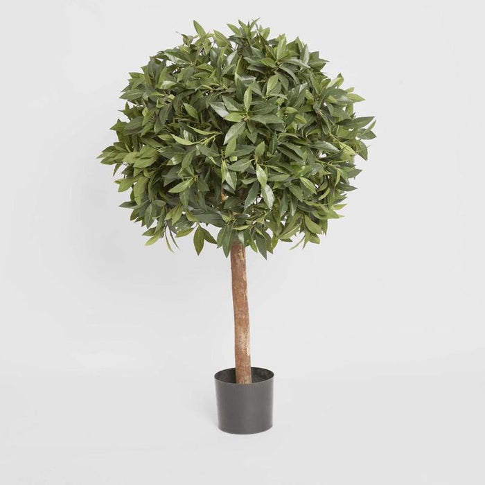 Laurel Ball Topiary Tree 110cm
