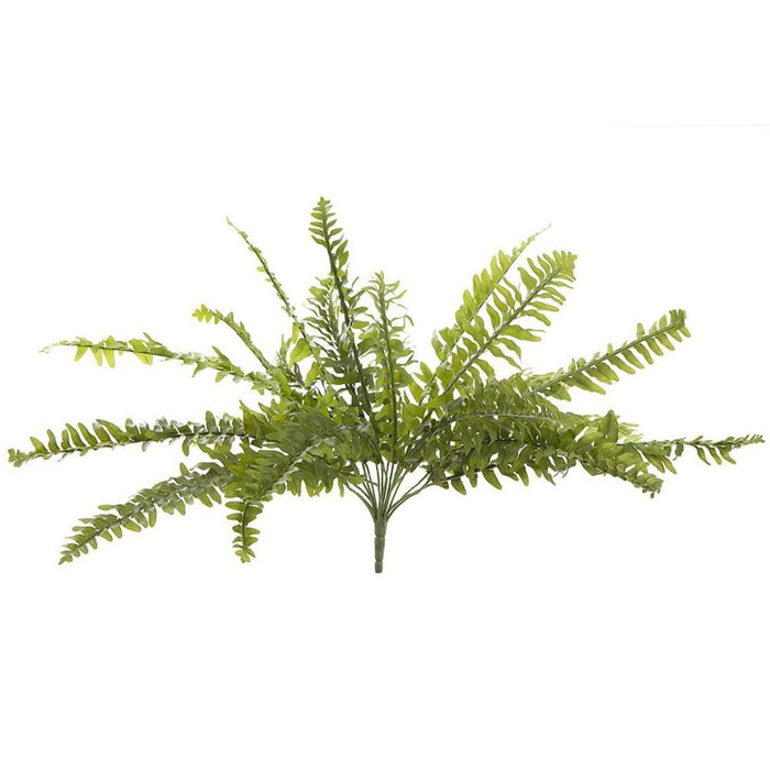 Boston Fern Bush 48cm Pack of 6