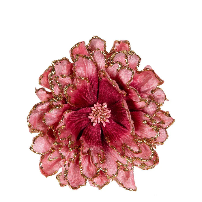 Stella Velvet Clip On Peony Pink Pack of 12