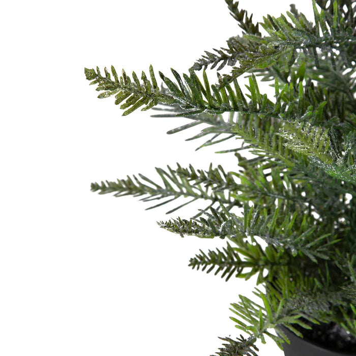 Heaton Forest Potted Pine Tree Small 49cm Pack of 3