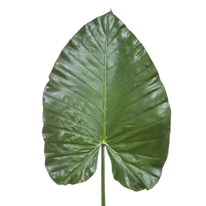 Heart Leaf 110cm Pack of 12